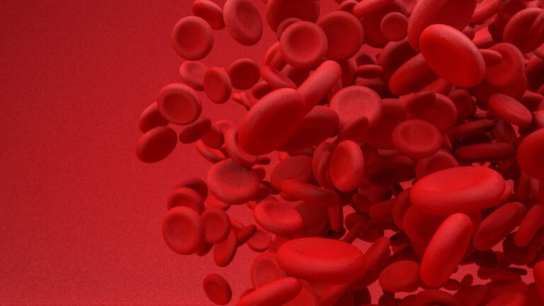 Junho Laranja: qual a importância da campanha no combate da anemia e leucemia?